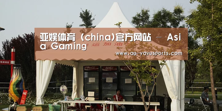 案例标题五