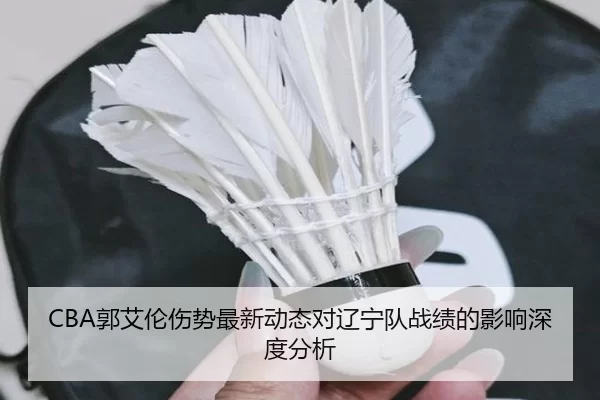 CBA郭艾伦伤势最新动态对辽宁队战绩的影响深度分析